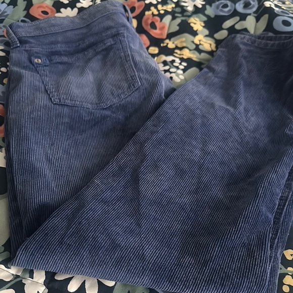 Pilcro anthropology Stylish Blue Corduroy Pants size 29 Tall - Picture 11 of 11